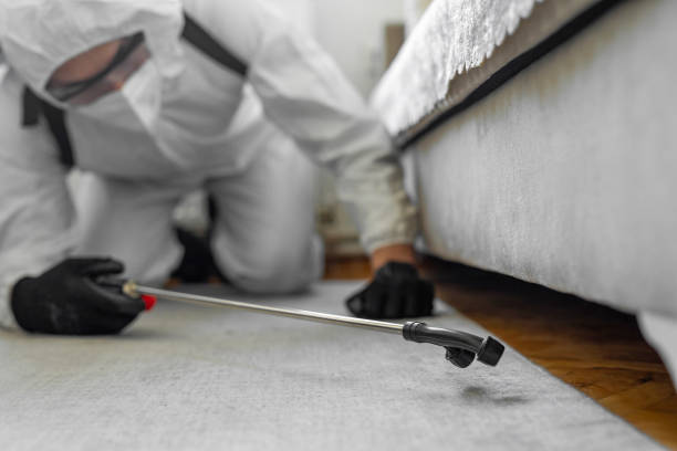 Professional Bed Bug Control technician working in Harrisville, WV