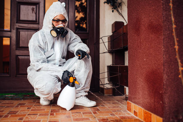 Reliable Bed Bug Control contractor in Harrisville, WV by Nex Pest Control