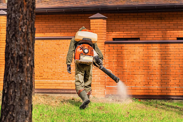 Trusted Termite Control service in Harrisville, WV - Nex Pest Control